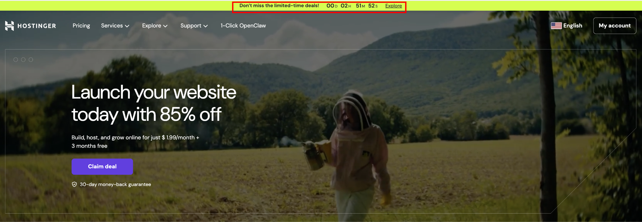 Hostinger limited-time deals banner on home page