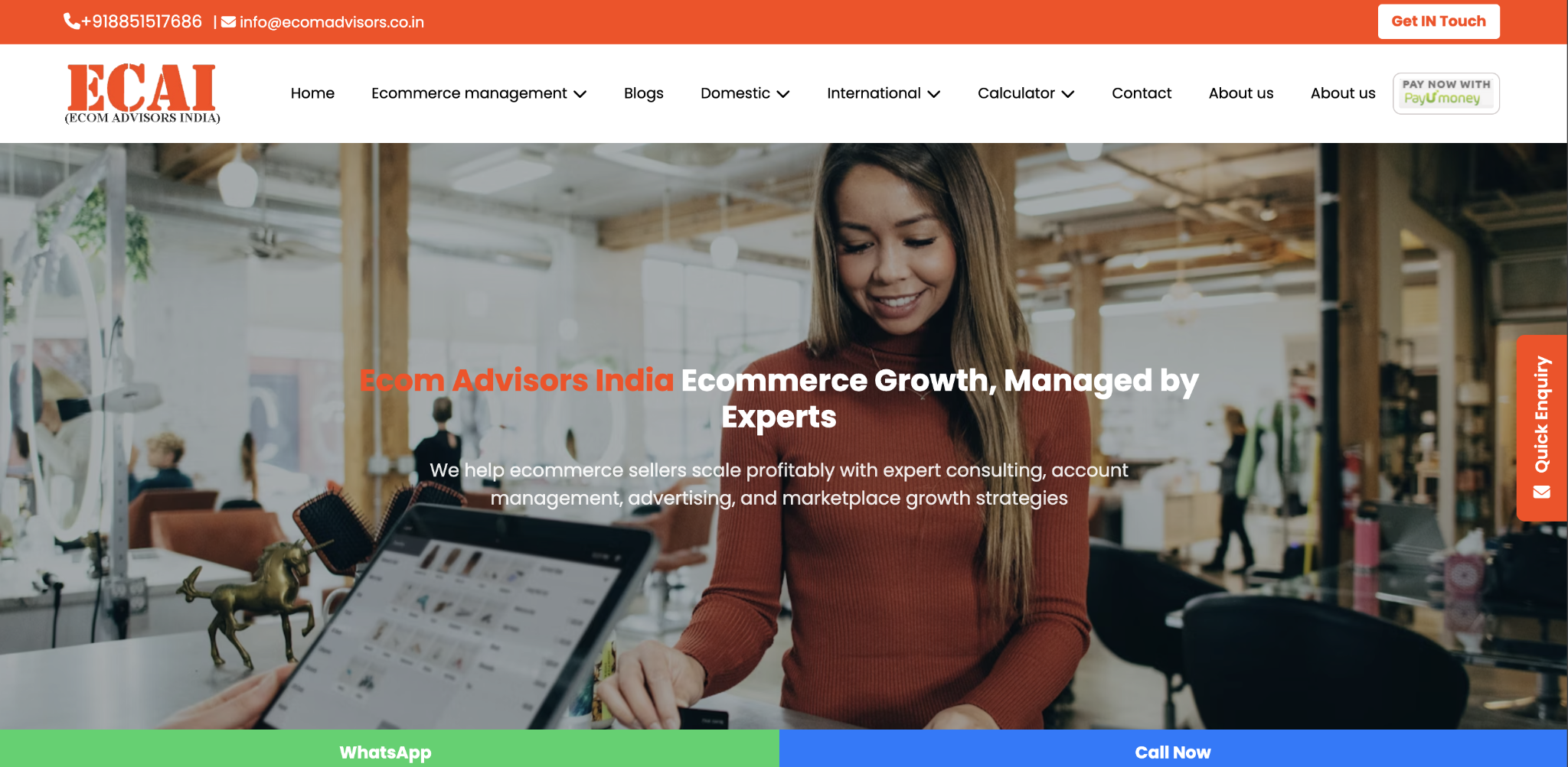 Indian website using the .co.in domain