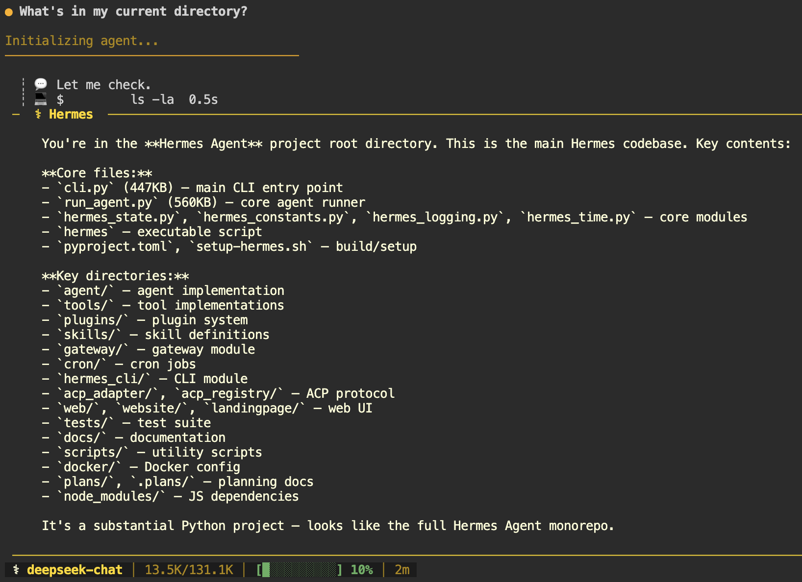 The Hermes Agent CLI chat output