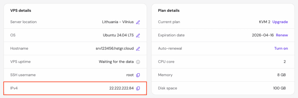 The IPv4 information in the VPS dashboard of hPanel