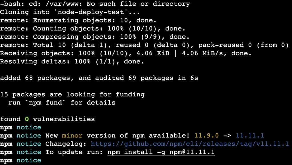 The git clone and npm install commands' output in the terminal