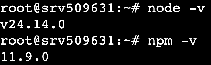 The node -v and npm -v commands' output in the terminal
