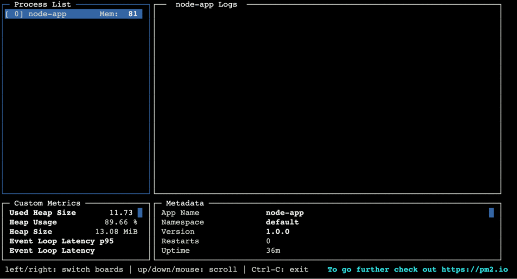 The pm2 monit command's log in the terminal