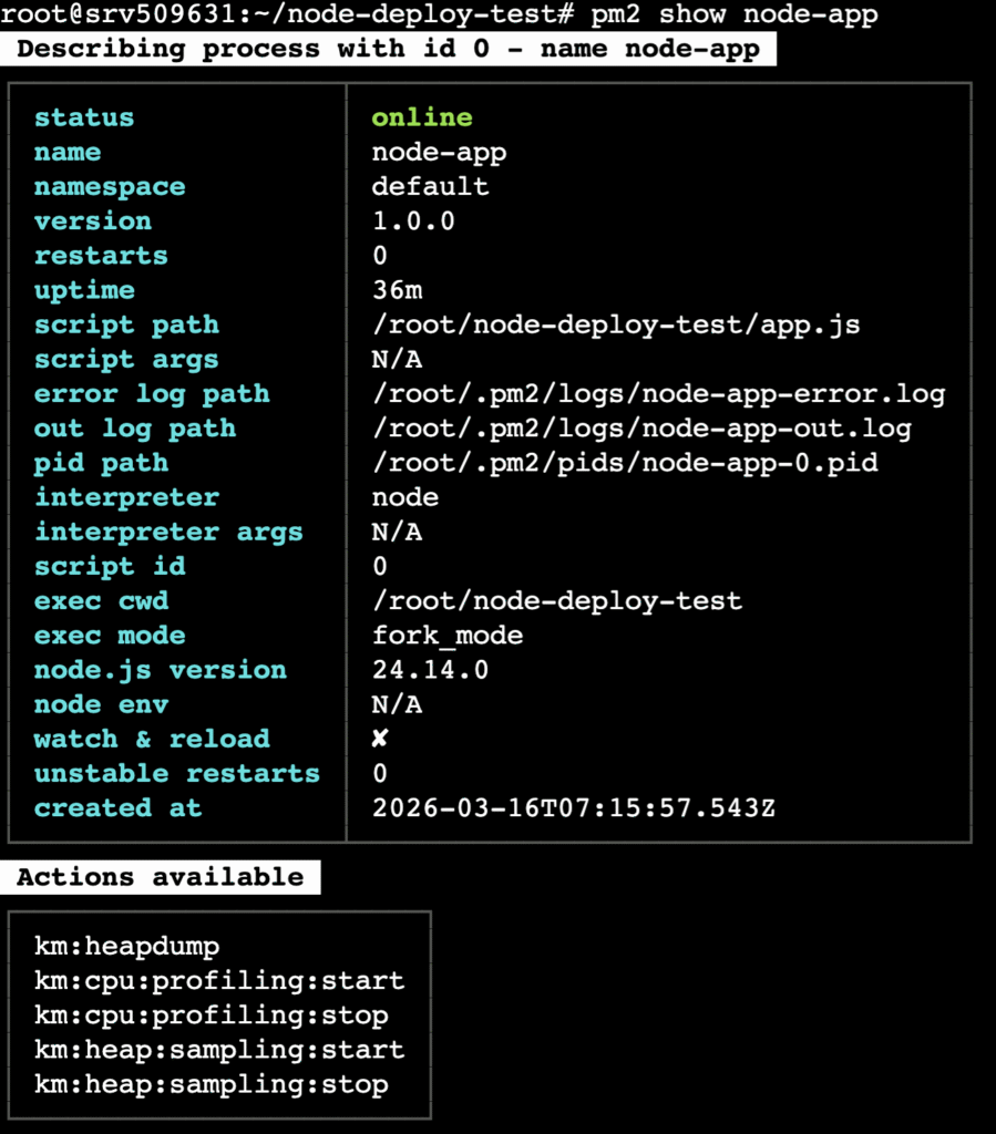 The pm2 show node-app command's log in the terminal