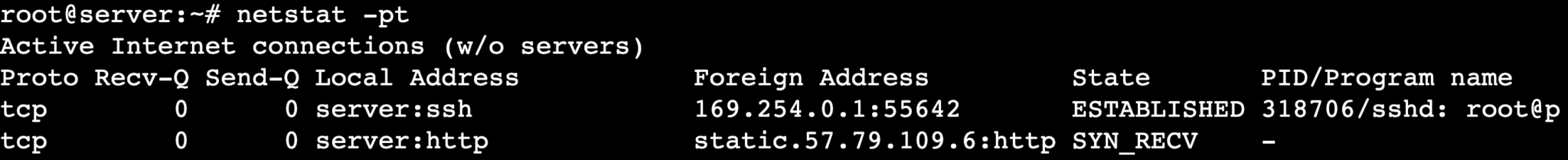 How to use the netstat command in Linux